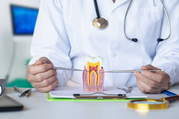 Best Emergency Dentist for Special Needs Patients in Town Line, NY